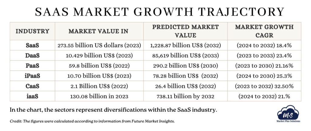 A small SaaS business scaling up with growing market opportunities and digital strategies.