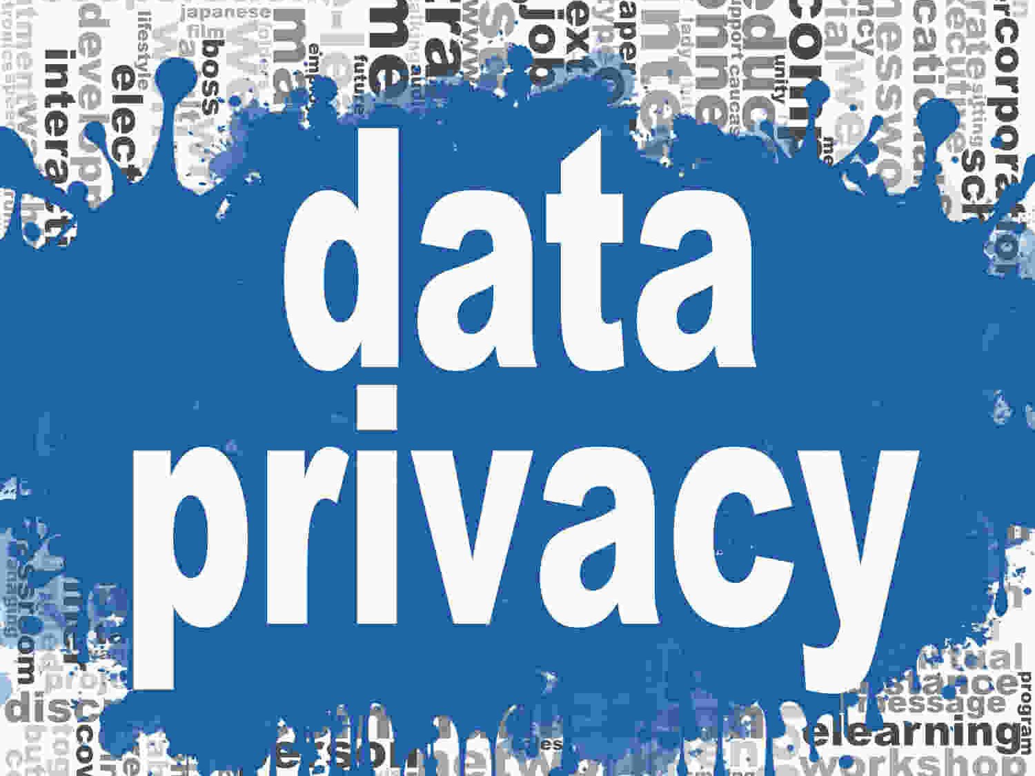 We build first-party-data-powered SEO and demand gen strategies that convert.